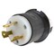Hubbell Wiring Device-Kellems Locking Plug, L25-30P, 30 A, 250V AC, 2 Pole, Black, White HBL2601 - alternate 1